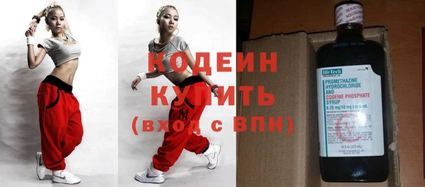 индика Нягань