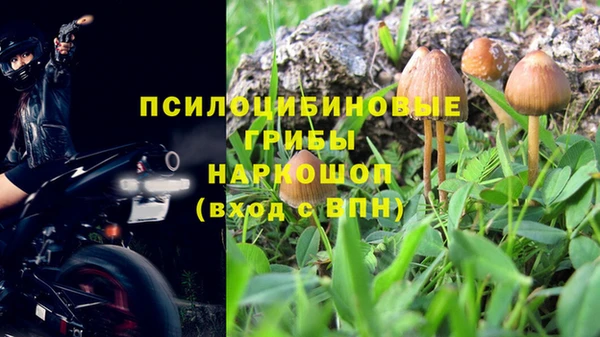 индика Нягань