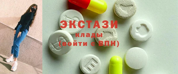 индика Нягань