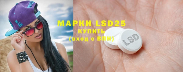 индика Нягань
