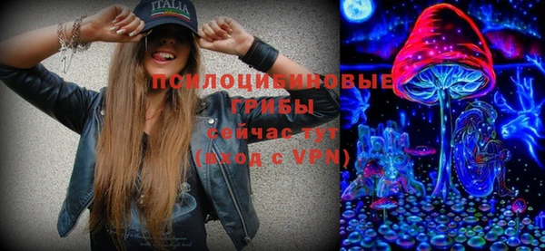 индика Нягань