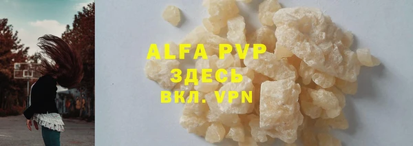 индика Нягань
