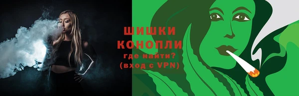 амф Няндома