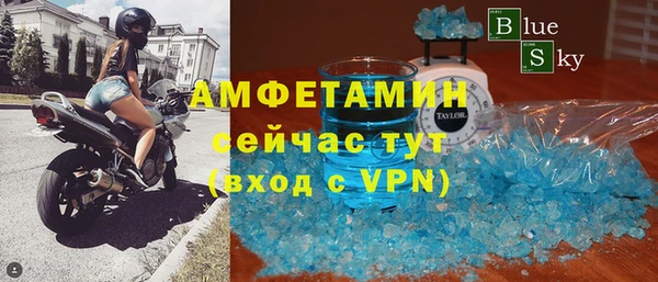 индика Нягань
