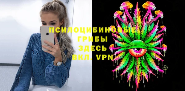 амф Няндома