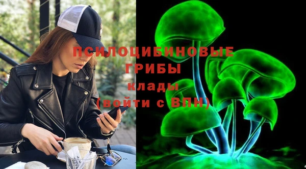амф Няндома