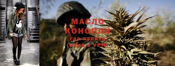 индика Нягань
