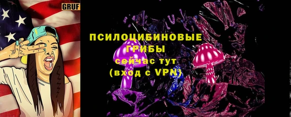 гидра Нязепетровск