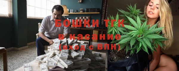 гидра Нязепетровск