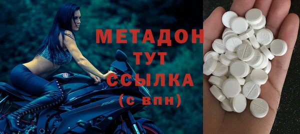 индика Нягань