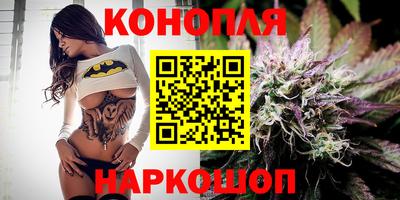 МДПВ Гусев