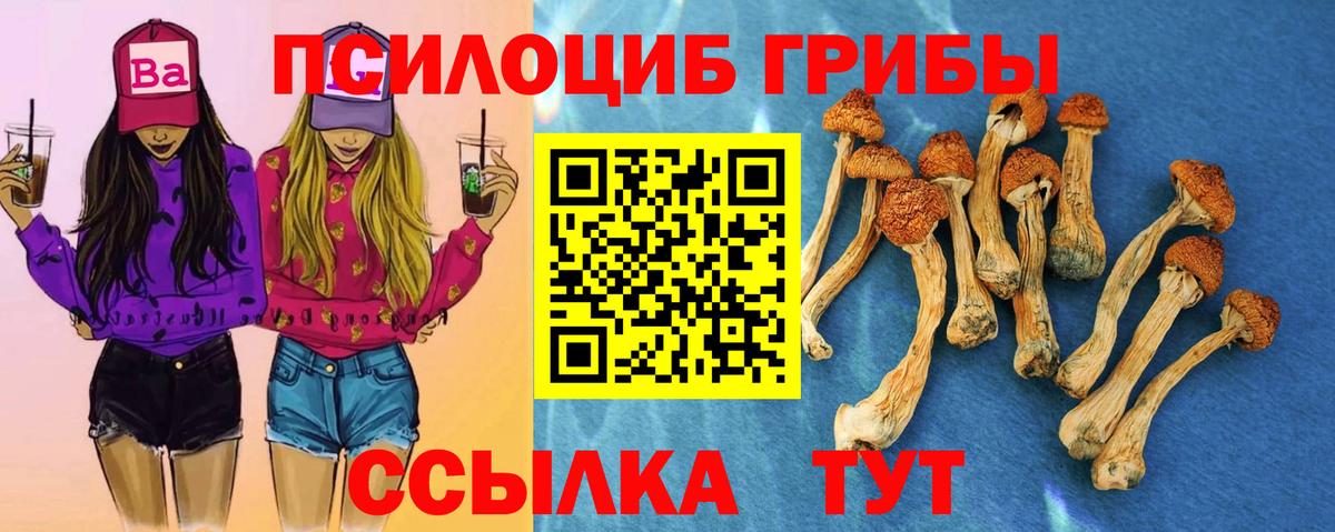 Галлюциногенные грибы GOLDEN TEACHER  Вход с VPN  Краснокаменск 