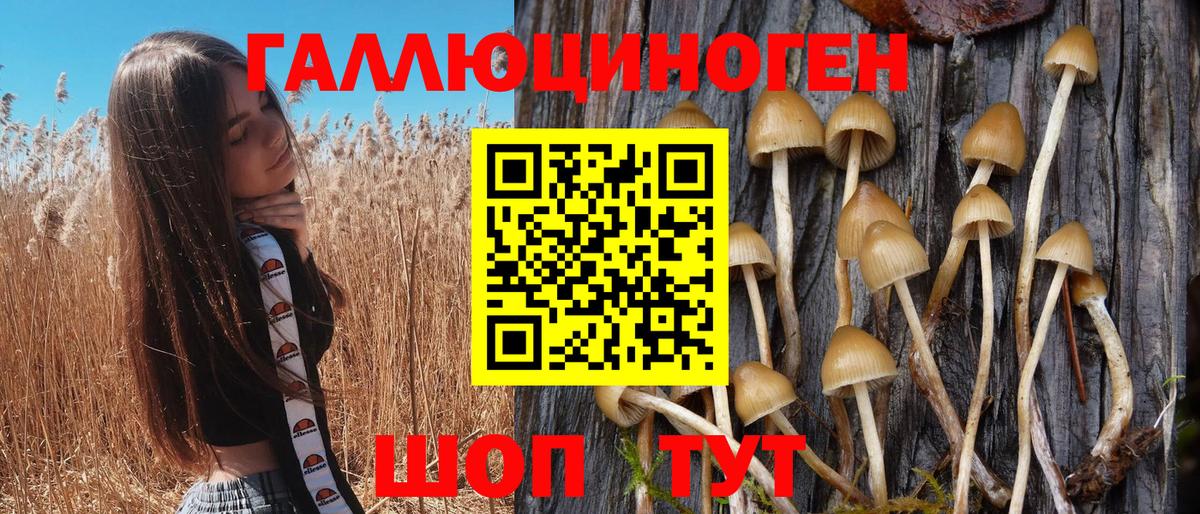 Галлюциногенные грибы GOLDEN TEACHER Краснокаменск